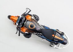 BMW R 1300 R Superhooligan