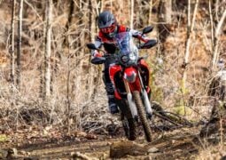 Honda CRF 300 Rally
