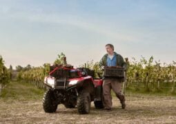 Honda TRX 420