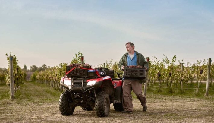Honda TRX 420