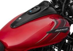 Bajaj Avenger 220 Street: Detalles técnicos