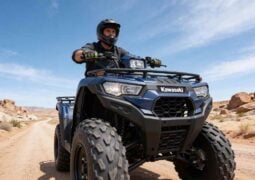 Kawasaki Brute Force 300