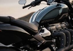 Triumph diseños 2027