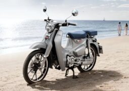 Honda Super Cub 125 Calm