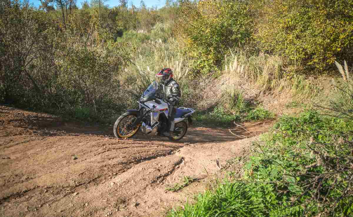 honda transalp 750 Honda Transalp 750