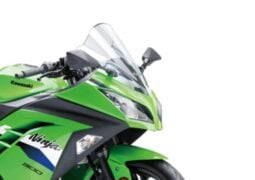 Kawasaki Ninja 300