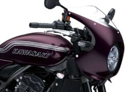 Kawasaki Z900 RS