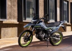 CMoto Lite Dual 250