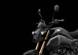 Honda Grom 300
