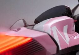 Norton Rosa