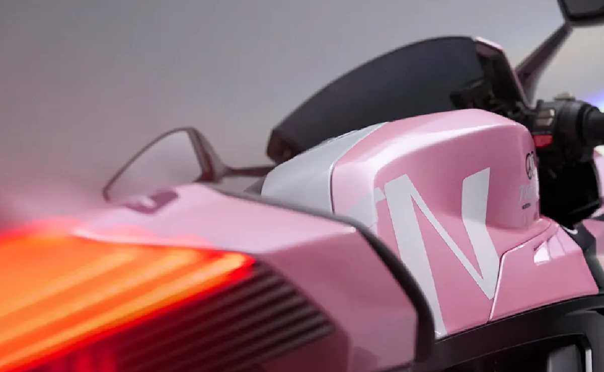 Norton Rosa