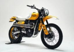 Triumph Originals 2026 Customs